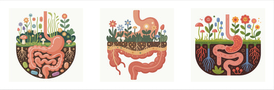 Sparkle Health Virtual Event: All About the Gut Microbiome